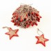 Набор из 30 елочных игрушек (8x1x8 см) Christmas Stars en_ny0005